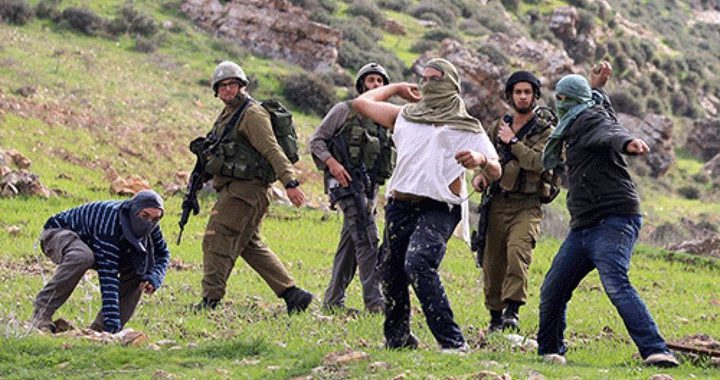 Two Palestinians assaulted by Settlers near Qalqilya