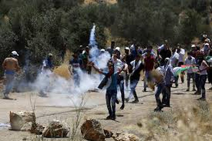 IOF crackdown on anti-settlement protest east of Nablus